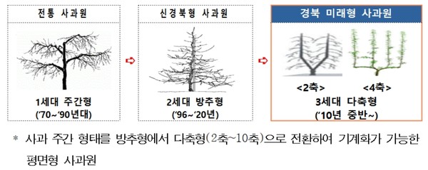 경북도는 지난해 2월에 생산성 향상과 노동력 절감을 위해 경북 미래형 사과원 조성계획 수립과 올해까지 사업비 73억원을 투입해 60ha를 조성하는 등 2026년까지 300ha의 재배면적을 목표하고 있다. (자료=경북도)