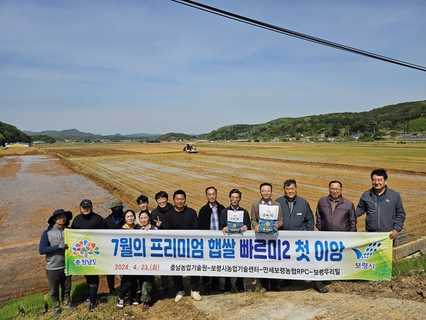 충남도는 대한민국 최초 ‘벼 3모작 시대’를 개막한 빠르미의 업그레이드 품종인 ‘빠르미2’와 ‘빠르미향’에 대한 브랜드화를 위해 시동을 걸었다. (사진=충남도)