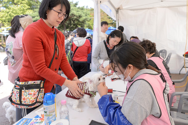반려견 미용아트 체험부스에는 관내 반려미용전문가 6명이 참여해 반려견 기본 미용부터 위생 미용까지 서비스를 제공할 예정이다. (사진=양천구)
