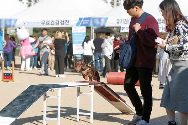 강아지 모양의 양천구 지형을 살린 특화 축제인 이번 ‘Y-펫밀리’는 목동로데오 패션문화거리 2차선 도로 340m 구간을 ‘차 없는 거리’로 만들어 ▲스테이지존 ▲플레이존 ▲쉼터존 ▲플리마켓존 ▲체험존으로 운영된다. (사진=양천구)