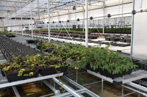 충청북도산림환경연구소 산림바이오센터는 괴산군 덕사리 마을에서 전통 방식으로 제조한 구절초 조청의 성분을 분석하여 유용성분인 리나린을 확인했다. 충북산림바이오센터 내부 모습, 참고사진은 해당 기사와 직접적인 관련이 없음 (사진=충북도청 홈페이지)