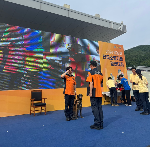 경기도 북부소방재난본부는 지난 3일부터 5일까지 3일간 열린 제37회 전국 소방기술경연대회 119구조견 부문에서 ‘태공’(7세, 암컷)과 소방위 오문경 훈련사(핸들러)가 개인전 전국 1위의 영예를 차지했다고 7일 밝혔다. (사진=경기도)