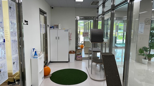 고양이입양센터에 따르면, 센터에는 현재 50여마리의 유기 고양이를 보호 중이며, 지난 5월 4일부터 6월 7일까지 12마리의 유기 고양이가 새로운 가족을 찾아 떠났다. (사진=경기도)