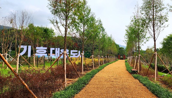 시는 숲에 미세먼지를 줄이는 능력이 뛰어난 메타세쿼이아 등 17종 390주, 산철쭉 등 20종 2만 690주의 수목 식재와 산책로, 잔디 휴식마당, 퍼걸러, 벤치, 안내판 등을 설치했다. (사진=보령시)