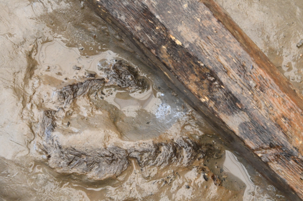 4호 쟁기 손잡이 하부 새끼줄 (사진=서울시)