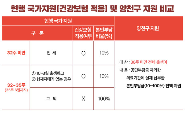 현행 국가에서 지원하는 건강보험적용과 양천구 RSV 지원 비교표 (자료=양천구)