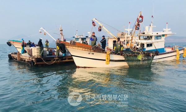 전남도는 고유가, 인력난, 어획량 감소 등으로 어려운 어업인을 위해 예비비 19억 원을 투입해 금어기 중 1개월분의 어선 및 어선원 재해보험료 자부담 전액을 지원하기로 했다(사진=전남도청)