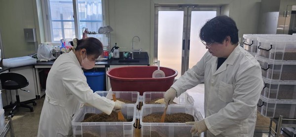 친환경 천적 농법은 화학농약 사용 대신 천적 곤충을 방사하여 해충을 방제하는 농법으로, 최근 이상기후로 인한 해충 발생 증가와 약제 저항성이 커지면서 천적 곤충을 활용한 해충방제에 관심이 높아지고 있다. (사진=부여군)