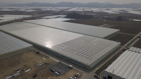 부여군 규암면 합송리 스마트 원예단지에 입주한 스마트팜 기업 전경 (사진=충남도)