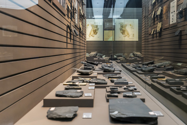 달성화석박물관이 약 3주간의 사전개관을 마무리하고 오는 16일 오후 2시 개관식과 함께 본격적인 운영을 시작한다. (사진=달성군)