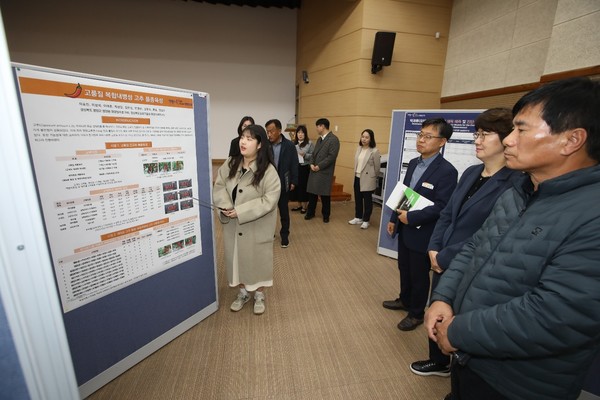 품종육성 분야의 대표 성과로는 ▴복켓팅(복숭아+티켓팅) 열풍을 일으킨‘반도복숭아’의 국내 최초 품종 개발 성공으로, 이 품종은 당도가 높고 열과 발생이 적으며 중소과로 먹기 편해 특화단지 조성을 통한 신속한 보급을 추진할 계획이다. (사진=김지수 기자/경북도청)