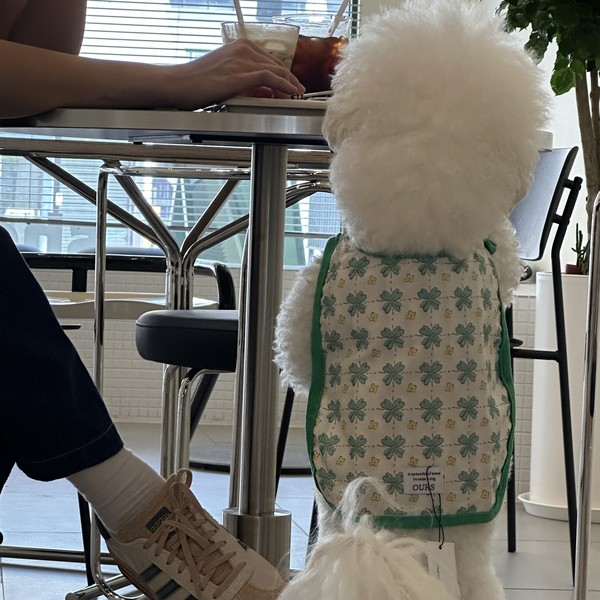 도와 진흥원은 컨설팅을 통해 중소기업 등의 신청을 지원하고, 동일·유사과제에 대해 패스트트랙 제도를 활용하도록 지원해 빠른 승인을 이끌어냈다. 이번에 승인받은 규제특례 11건 중 올해 컨설팅한 사업이 10건으로, 연내 신속하게 규제가 해소된 것이다. 반려동물 동반 출입 음식점카페 관련 참고사진 (사진=김미숙 기자/경기도청)