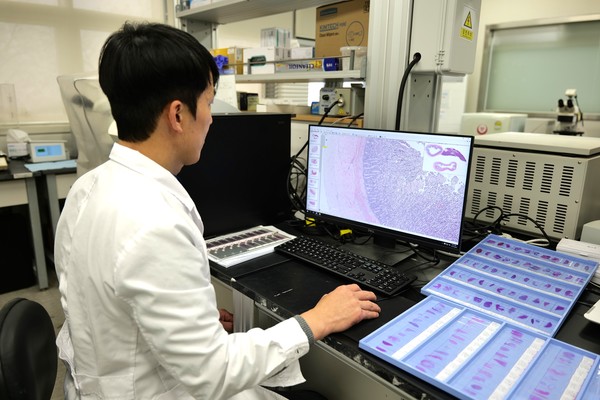 서울시는 동물도 억울한 죽음을 맞지 않도록 하기 위해, '수의법의검사' 운영으로, 학대 등이 의심되면 사건에 대한 조사가 이뤄질 수 있도록 관할 자치구(동물보호업무부서)와 경찰에 넘긴다는 방침이다. (사진=김미숙 기자/서울시청)