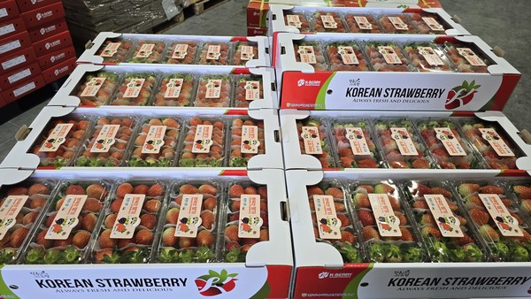 지난해 경상남도 농수산식품 수출액이 전년 대비 7.9% 증가한 14억 8천만 달러를 기록하며, 사상 처음으로 2조 원을 넘어섰다. (사진=김지수 기자/경남도청)