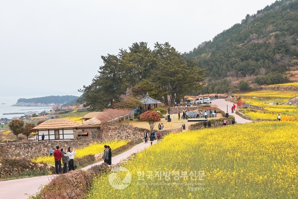 느림의 미학, 아시아 최초 슬로시티 '청산도 슬로걷기 축제'가 시작되어 오는 5월 4일까지 진행되고 있다.(사진=조용원 기자/완도군청)