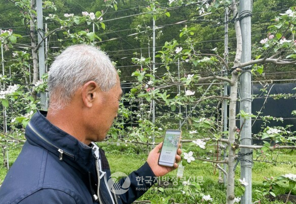 전남 장성군이 전남 최초 스마트폰 앱 기반 과수 화상병 예찰 시스템인 '팜식스플러스(FarmSix+)'를 본격 가동해 디지털 농업 대전환을 알렸다.(사진=조용원 기자/장성군농업기술센터)