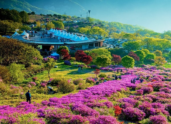 봄꽃이 절정에 달하는 황금연휴, 경남도(도지사 박완수) 전역이 선사하는 보물찾기 모험은 가족 여행의 새로운 이정표가 될 전망이다. (사진=김지수 기자/경남도청)