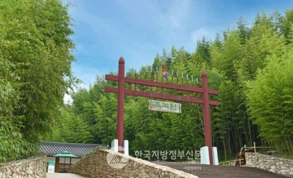울창한 대숲의 죽림욕장, 죽녹원(竹綠苑), 축제의 주무대인 ‘죽녹원’은 2003년 5월에 조성된 약 31만㎡ 규모의 대나무 정원으로, 울창한 대나무숲과 담양의 정자문화 등을 볼 수 있는 시가문화촌으로 구성되어 있는 연간 관광객 100만 명이 찾는 대한민국 최고의 관광명소로 자리잡고 있다.(사진=조용원 기자/담양군청)