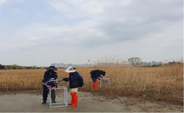 보건환경연구원이 국가도시공원 지정을 추진 중인 소래습지생태공원에서 본격 시작한 블루카본(Blue Carbon) 조사·연구는, 자연이 보유한 탄소 흡수·저장 능력을 과학적으로 증명해 인천만의 기후정책 전략으로 연결하겠다는 계획이다. (사진=김미숙 기자/인천시청)