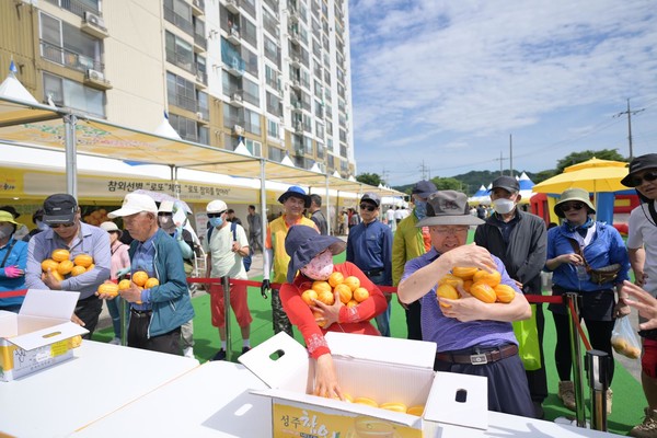 4년 연속 경북 우수축제로 선정된  ‘2025 성주참외&생명문화축제’는, 대한민국 대표 여름 축제로서의 위상을 공고히 하는 한편, 성주참외의 브랜드 가치를 한층 끌어올릴 전망이다. (사진=김지수 기자/성주군청)