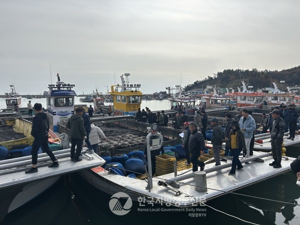 전국 최대 김양식장 16,128ha, 235,658책 시설을 보유하고 있는 진도군(군수 김희수)은 2025년산 물김 생산액이 2천490억 원의 위판고를 올려 지난해에 이어 전국 1위를 달성했다. 진도군 접도위판장.(사진=조용원 기자/진도군청)