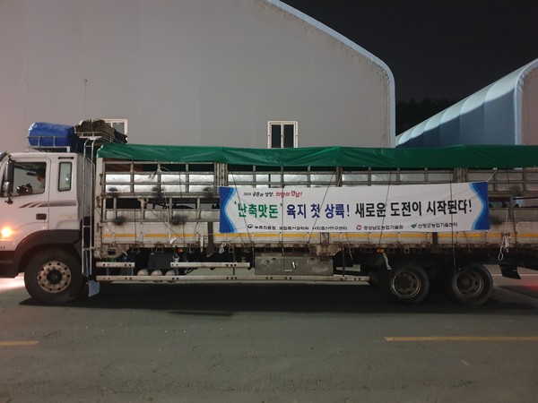 경남도(도지사 박완수)가 개발한 프리미엄 흑돼지 신품종 ‘난축맛돈’은 경남이 육성해 온 흑돼지 산업 전반에 새 바람을 불어넣는 동시에, 농가 소득 증대와 지역 경제 성장의 든든한 버팀목으로 떠오르고 있어 앞으로 펼쳐질 내륙 흑돼지 혁신 드라마의 다음 장이 더욱 기대된다. (사진=김지수 기자/경남도청)