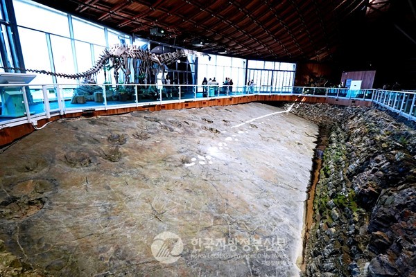 백악기 고대의 익룡(翼龍)이 땅 위를 네 발로 걸었다는 사실을 입증한 세계적 화석 '해남이크누스(Haenamichnus)'가 오는 5월 31일부터 6월 1일까지 국립중앙과학관에서 열리는 '세계 공룡의 날 박람회'에서 일반에 공개된다.(사진=조용원 기자/해남군청)