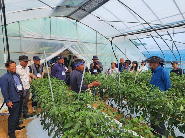 김돈곤 청양군수는 “청양군이 충청권 최초로 선보인 이번 사업은 실질적인 성과로 이어져 매우 뜻깊다”며, “향후 시범사업의 성과를 면밀히 분석해 지원 대상을 확대하는 등 다양한 추가 정책을 마련하겠다”고 강조했다. (사진=김지수 기자/청양군청)