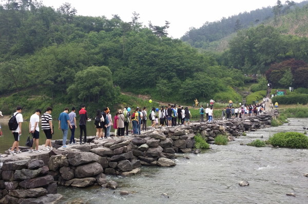 며칠 정도의 단기간이 아닌 두달에 걸친 장기 프로그램으로 추진하고 있는 '생거진천 농다리축제'가 꾸준한 방문객 유입은 지역 숙박·식음료 업소뿐 아니라 교통·서비스 산업 전반에 긍정적 파급 효과를 일으키며, 농촌 재생 및 체류형 관광의 모범 사례로 발돋움할 것으로 기대된다. (사진=김지수 기자/진천군청)