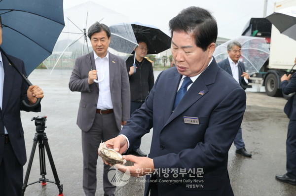 공영민 고흥군수는 "황금개체굴은 고흥군이 지난 2023년 세계 최초로 사계절 양식에 성공하고 상표 등록 및 지리적 표시제를 획득한 프리미엄 수산물"이라며, "일반 자연산 굴보다 성장 속도가 빠르고 육질이 쫄깃하며, 비린내가 적고 식감이 탁월해 국내외 소비자에게 인기가 높고, 연중 대량 생산이 가능해 수출 효자 품목으로 주목받고 있다"고 설명했다.(사진=조용원 기자/고흥군청)
