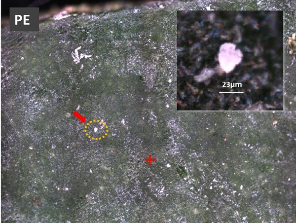 서울특별시(시장 오세훈)가 공원 내 대기 중 미세플라스틱 수치(103개/㎥)가 국제 기준과 유사하거나 다소 낮아, 서울시의 녹지 확충 정책이 국제적 스탠다드 이상으로 효과를 내고 있음을 드러난 가운데, ‘정원도시 서울’의 속도를 더 높인다 (자료=서울시청)