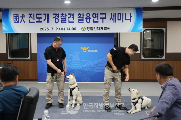 대한민국의 국견(國犬)이자 천연기념물 제53호로 지정된 진도개가 대한민국 최초의 특수목적견이라는 새로운 가능성을 발견함으로써 세계적인 주목을 받고 있다.(사진=조용원 기자/진도군청)