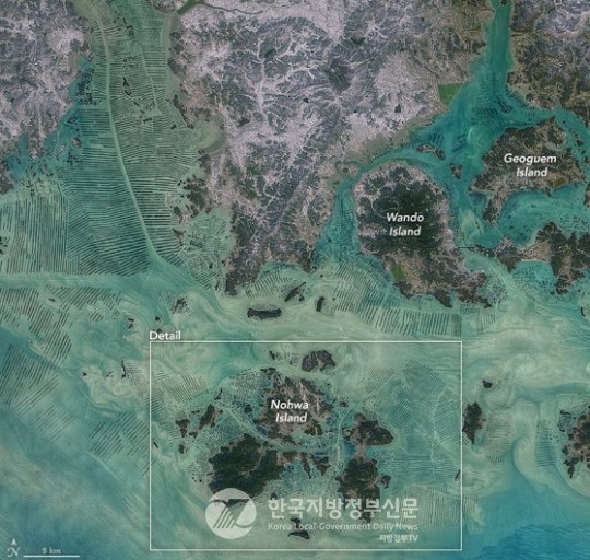 NASA가 우주에서 주목한 완도 해조류가 대한민국 브랜드를 넘어 ‘세계 해조류 허브’로 글로벌 브랜드 도약에 나서 주목을 받고 있다. NASA가 공개한 완도 해역 해조류 양식장 위성사진.(사진=조용원 기자/NASA)