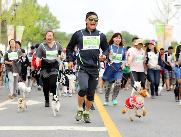 대회 둘째 날(9월 21일)은 오전 캐니크로스·캐니워킹(이봉주 선수 참여)과 오후 ‘견공올림픽’으로 구성된다. (사진=박상대 기자/서울시청)