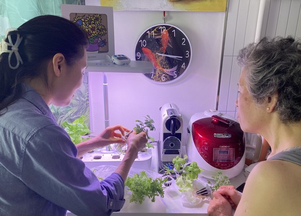 중구가 서울 최초로 노인맞춤돌봄서비스 대상의 독거 어르신 100가구에 보급한 ‘IoT 스마트 화분’이 단순한 생활보조 물품을 넘어, 하루의 리듬을 새롭게 만드는 장치로 자리매김하고 있다. (사진=김미숙 기자/중구청)