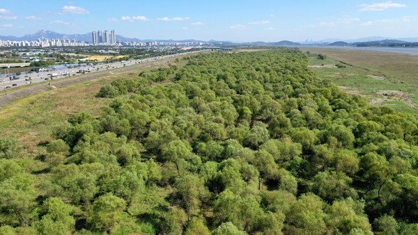 고양시는 이번 평가에서 전년 대비 평가점수를 2.75% 끌어올렸고, 아시아·태평양(아태) 지역 1위인 호주 멜번과의 점수 차이는 1.38%에 불과해 글로벌 최상위권과 근접한 경쟁력을 보였다. (사진=김기문 기자/고양시청)