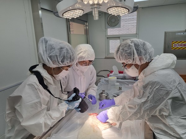 (사진=김미숙 기자/경기도청)