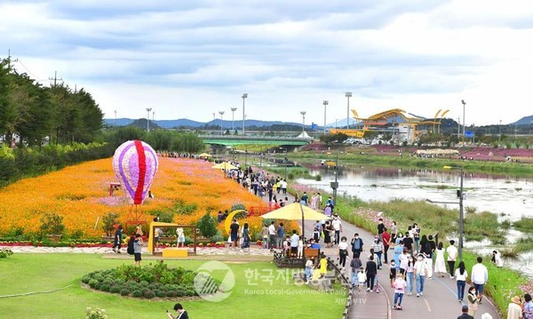 화려한 꽃밭과 더불어 음악·빛·예술이 어우러진 종합문화예술축제로 자리매김하며 단순한 ‘꽃구경’에서 벗어나 ‘스토리텔링형 지역 축제’로 진화하고 있는 장성 황룡강 가을꽃축제가 18일 개막된다(사진=조용원 기자)