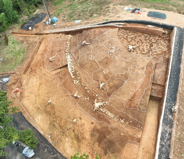 경남도(도지사 박완수)가 고성군(군수 이상근)와 함께 지원한 정밀 발굴에서 가야권 최대 규모로 평가되는 송학동 14호분의 봉분 구조와 축조공정이 사실상 완전한 형태로 드러났다. (사진=김기문 기자/경남도청)